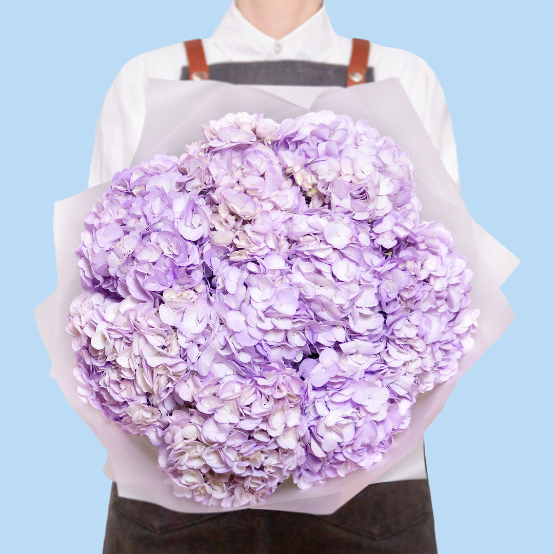 заказать букет Лиловые гортензии