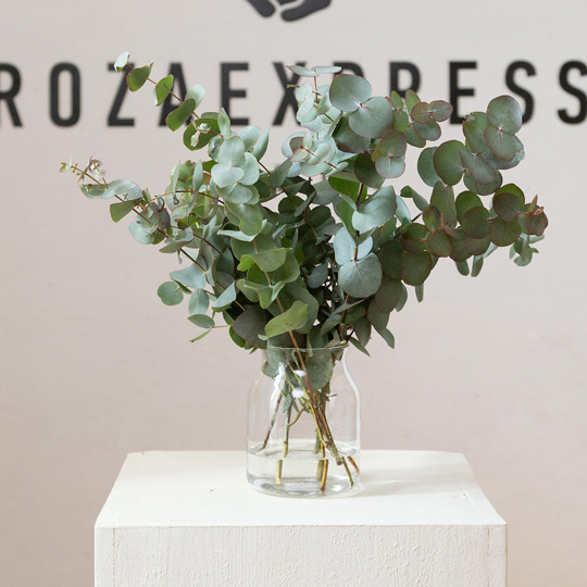 заказать букет Набор 05