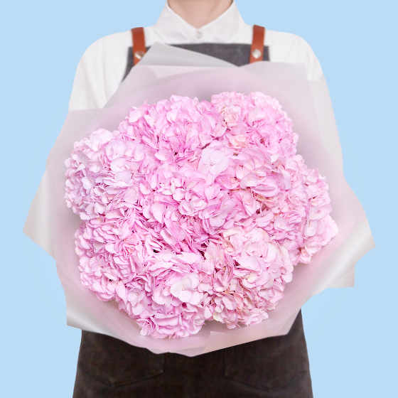 заказать букет Розовые гортензии