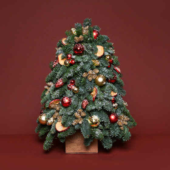 заказать букет Елка маленькая