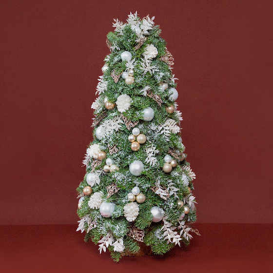 заказать букет Ель с белыми шишками