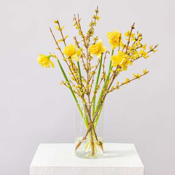 заказать букет Набор 25