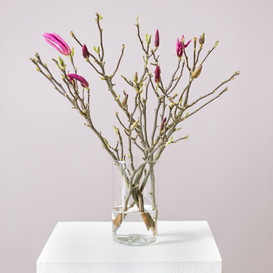 заказать букет Набор 27