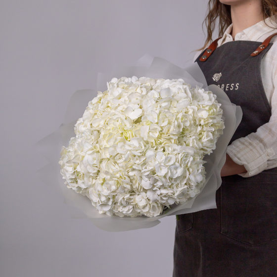 заказать букет Белые гортензии