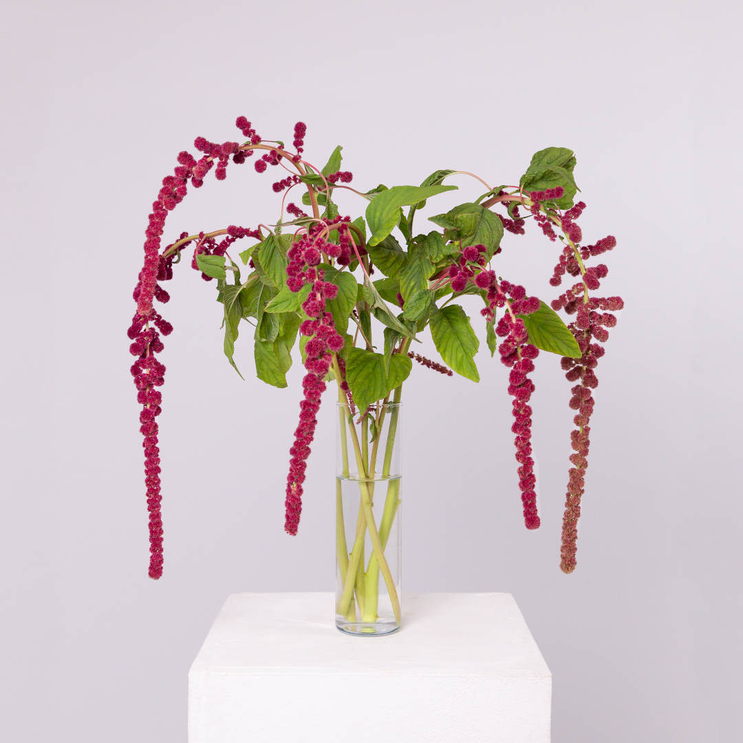 заказать букет Набор для дома 3