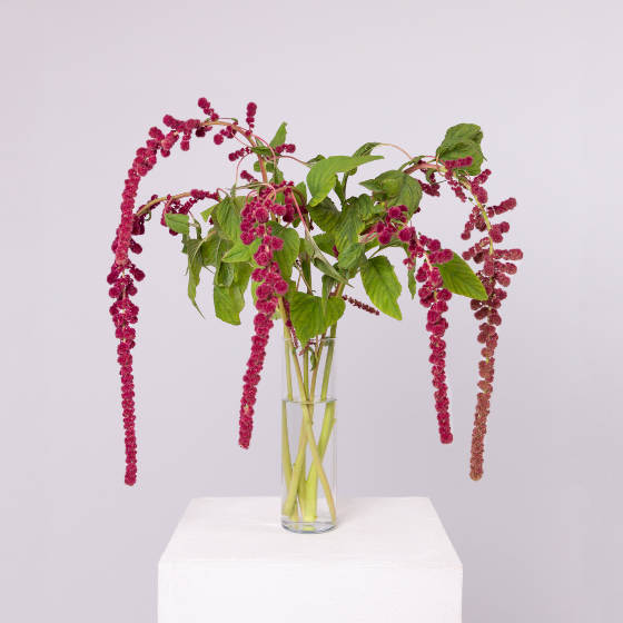 заказать букет Набор для дома 3