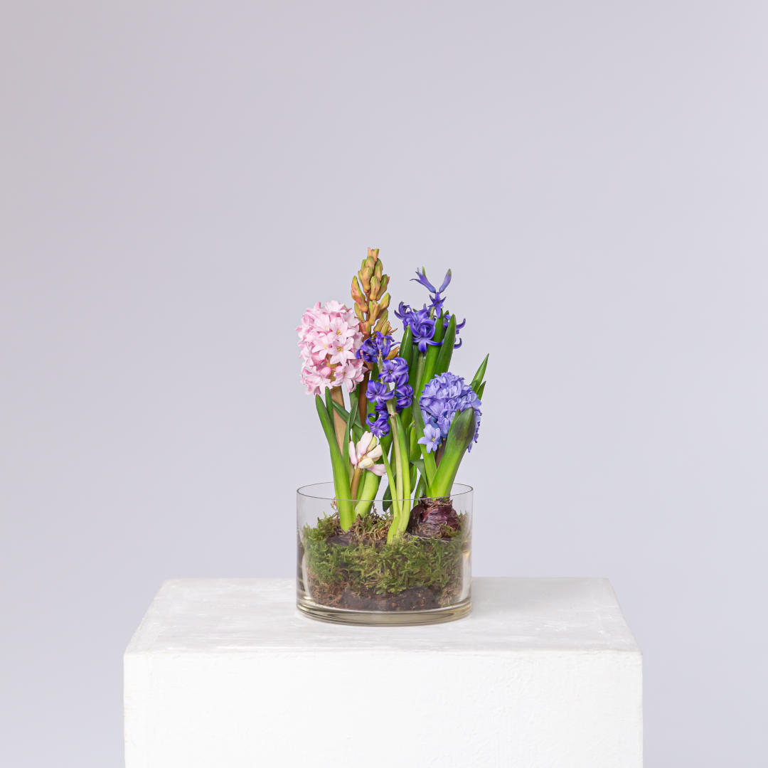 заказать букет Весенняя композиция 6