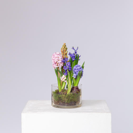 заказать букет Весенняя композиция 6