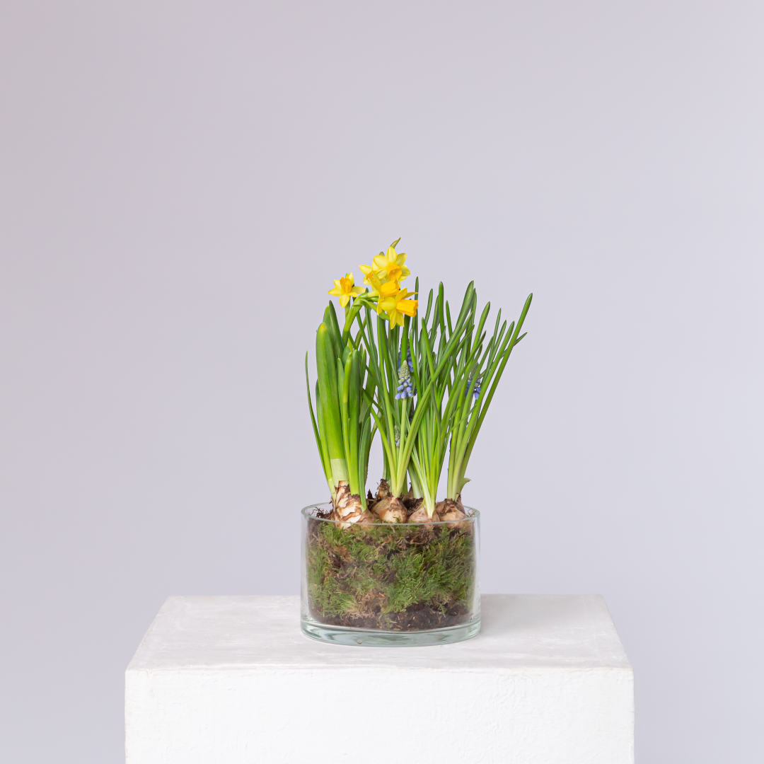 заказать букет Весенняя композиция 15