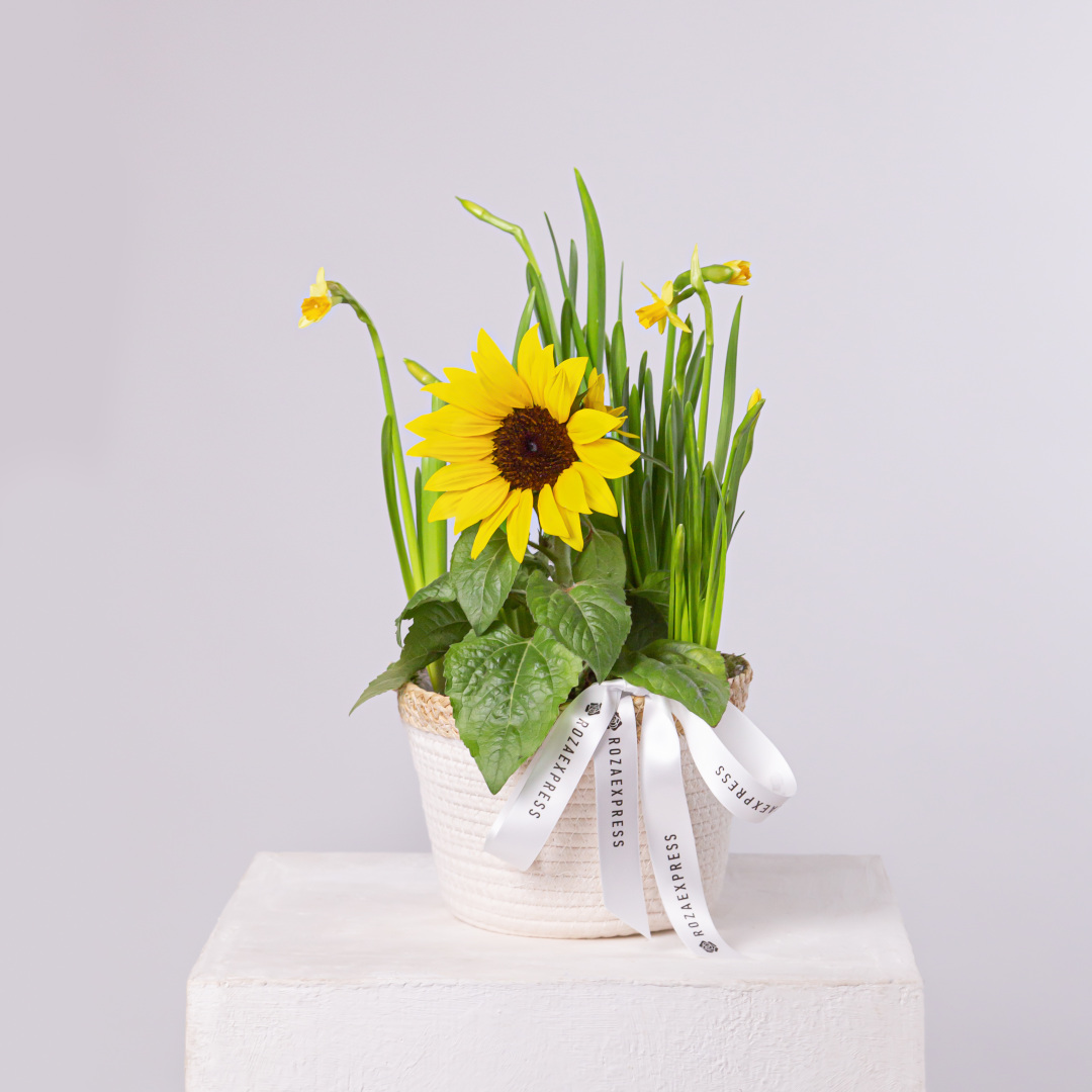 заказать букет Весенняя композиция 20