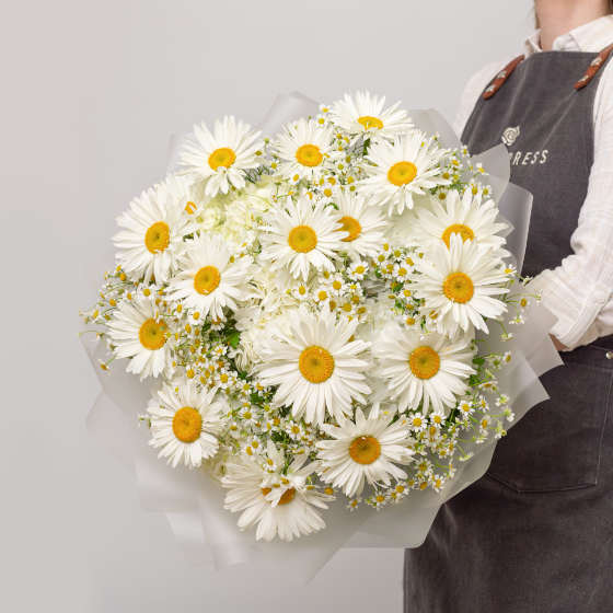 заказать букет Ромашки и гортензии