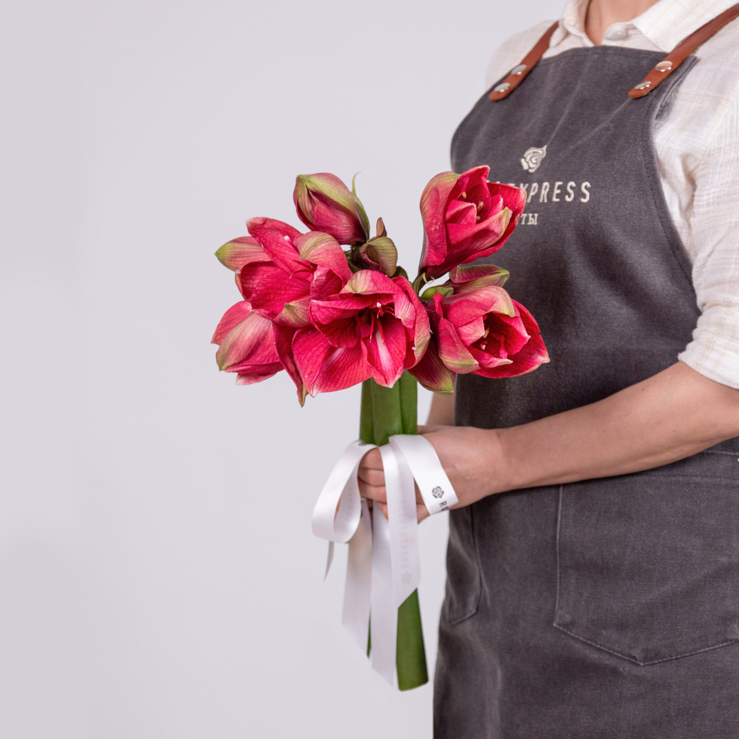 заказать букет Амариллис фуксия