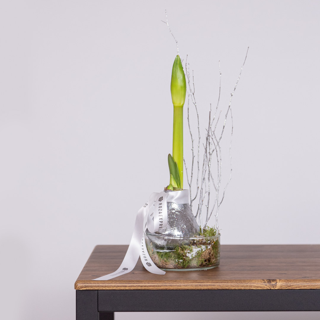 заказать букет Зимняя композиция 2