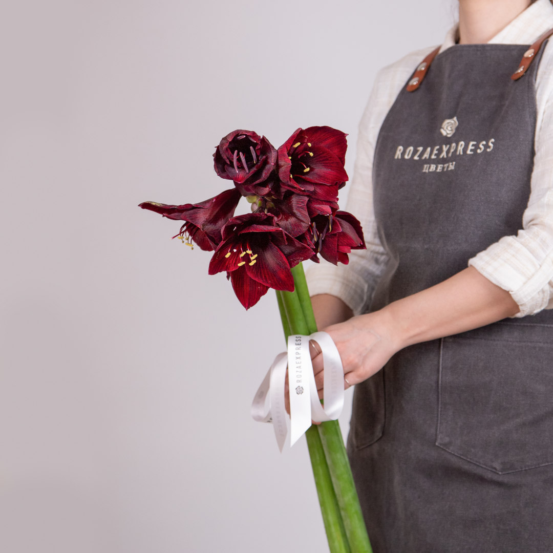заказать букет Бордовые амариллисы