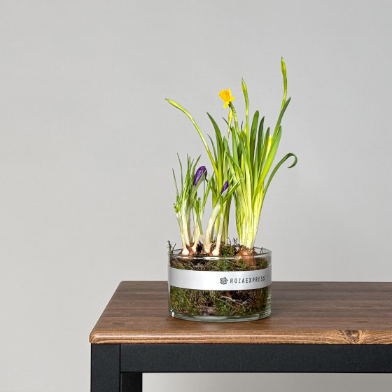 заказать букет Весенняя композиция 40