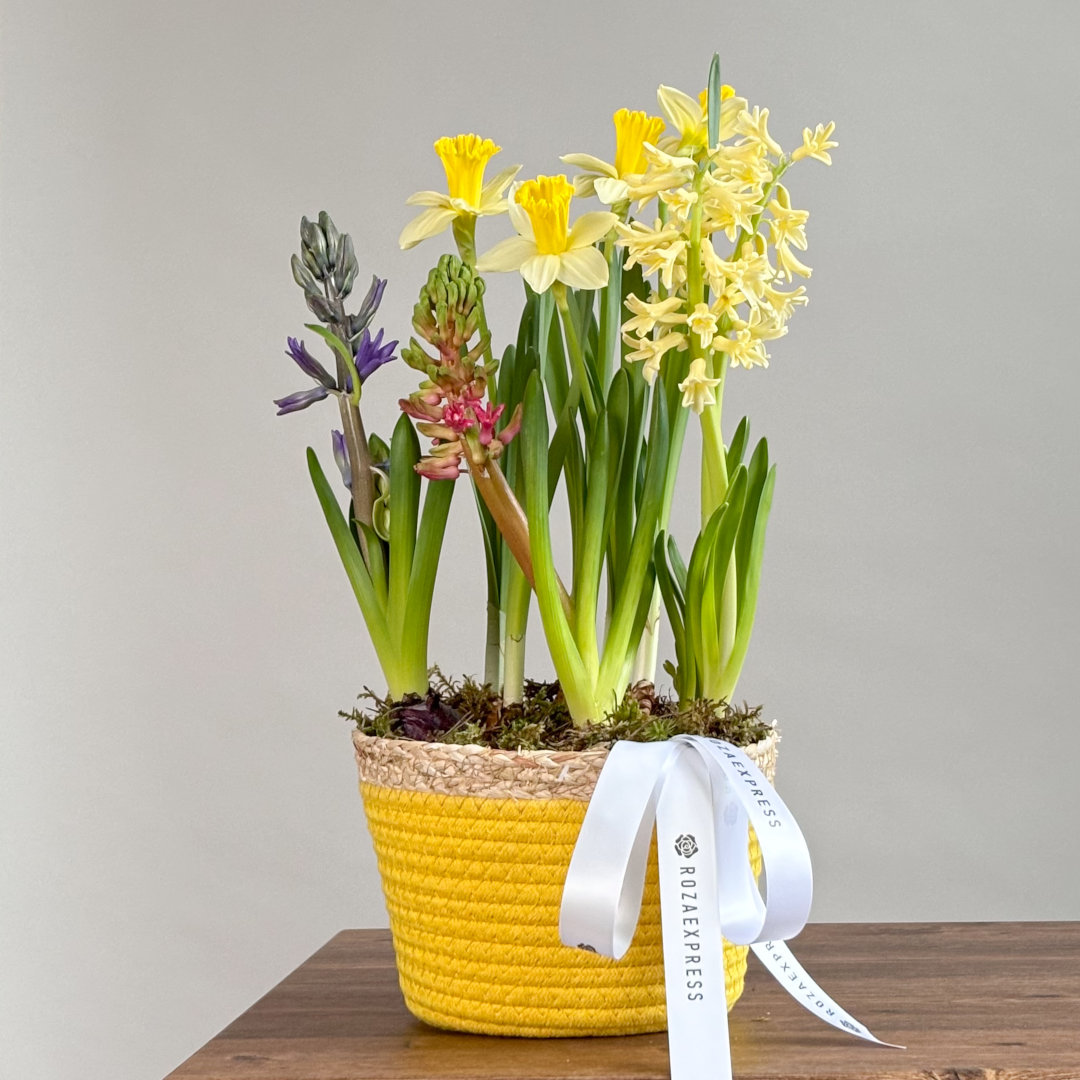 заказать букет Весенняя композиция 43