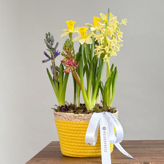 заказать букет Весенняя композиция 43