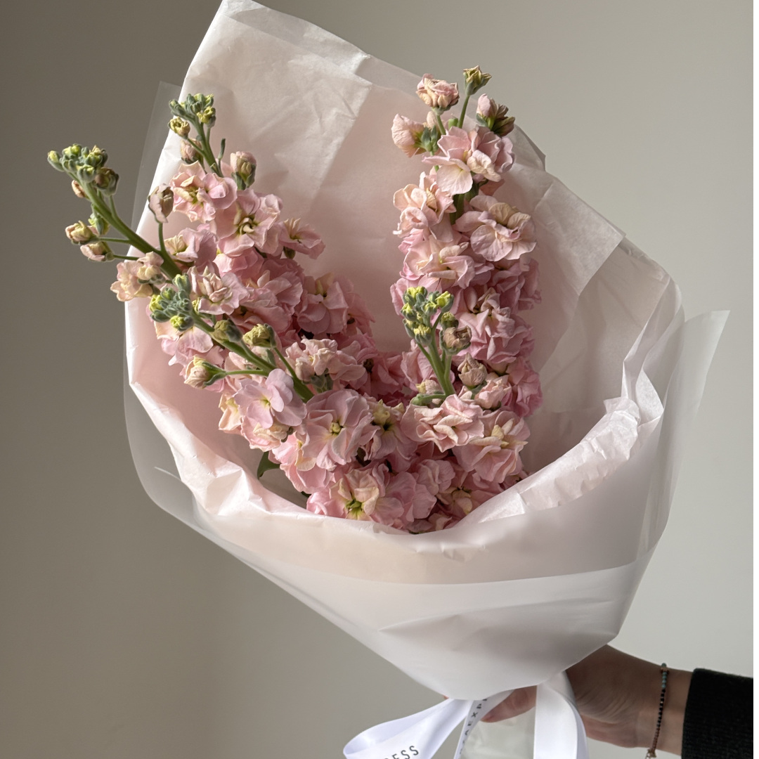 заказать букет Маттиола персиковая 5 шт