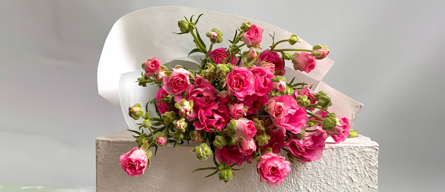 Возвращаем Daily