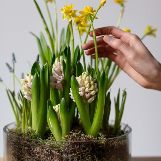 заказать букет Ваза с первоцветами