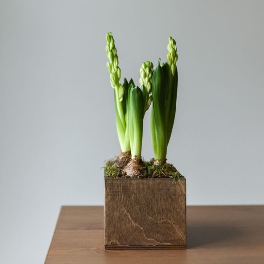 заказать букет Композиция с гиацинтами в деревянном ящике